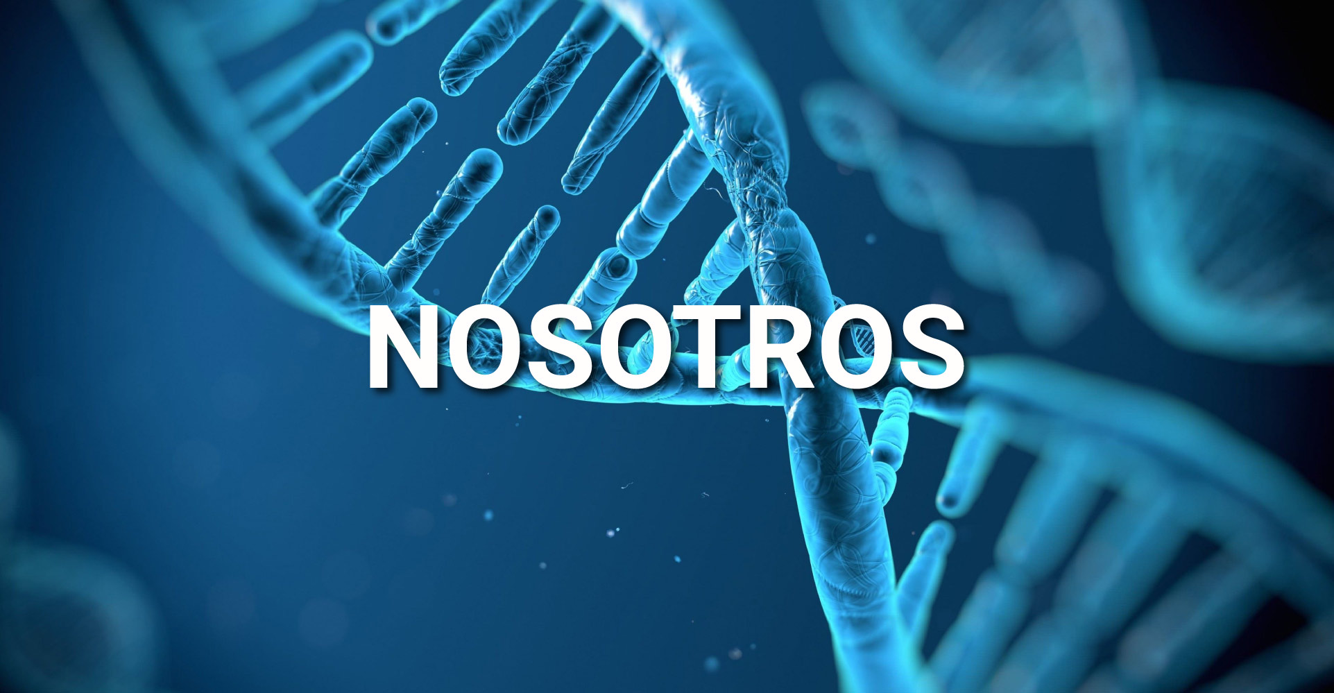 grupo farmaceutico